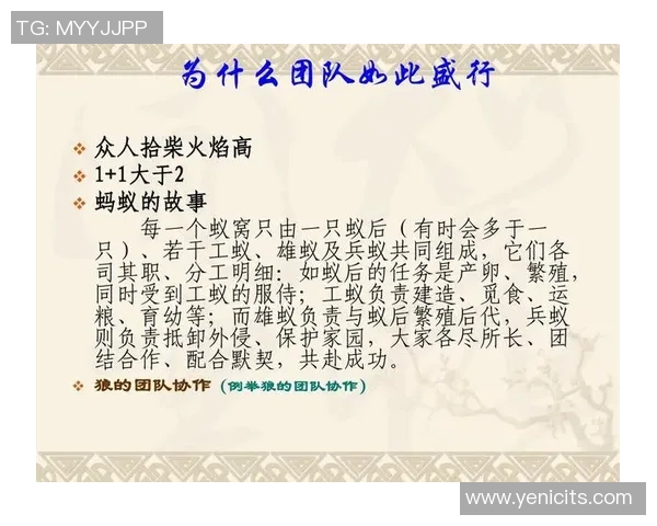 重庆篮球队的默契配合揭秘让我们一起感受团队精神的力量